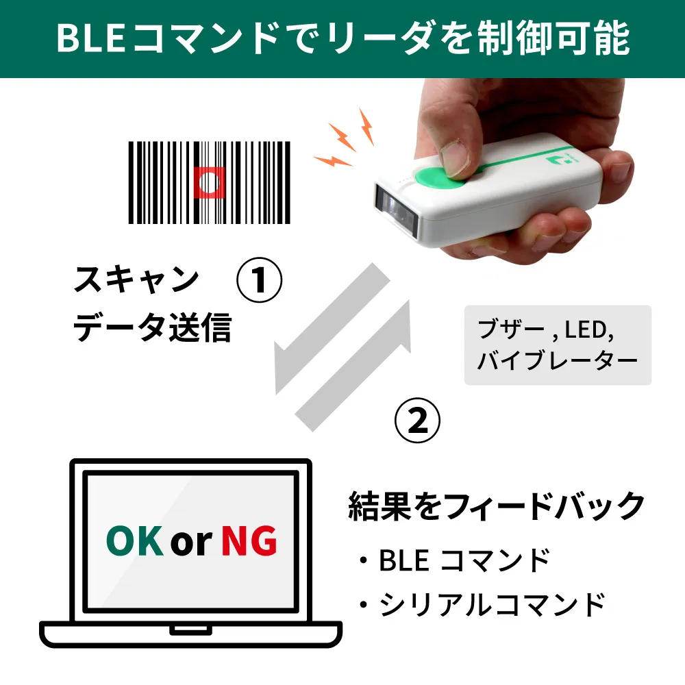 クレードルセット