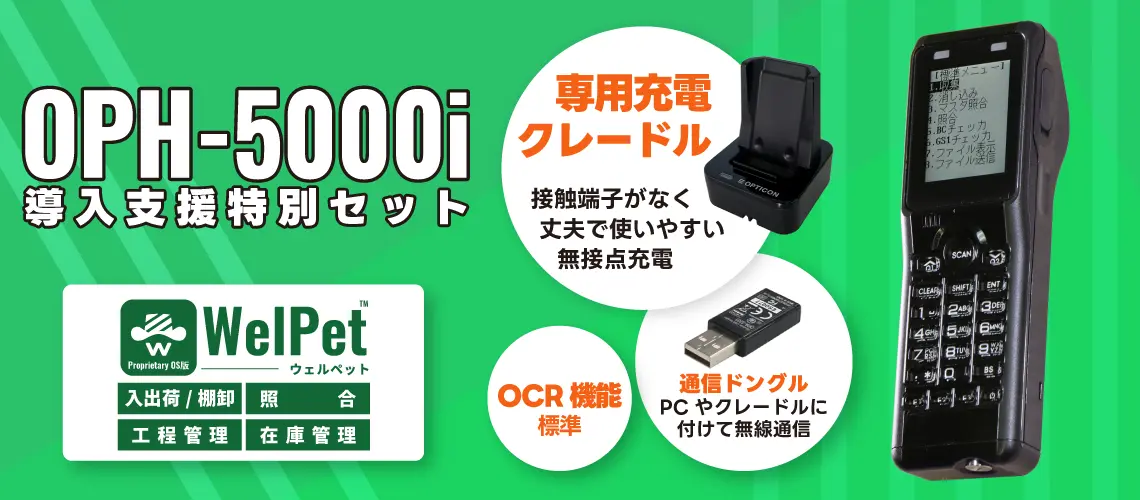 導入支援特別セット