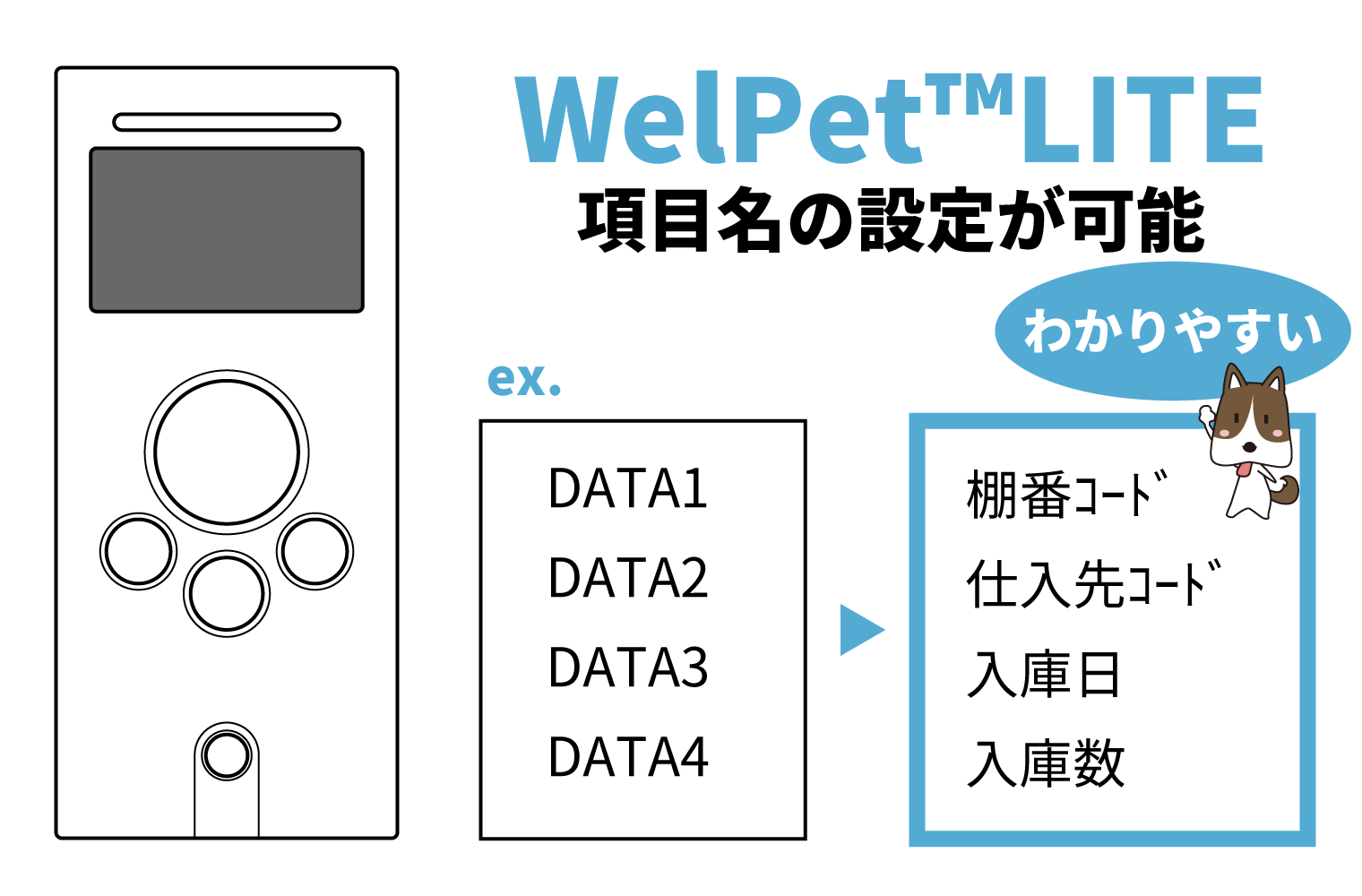 データ項目名称設定可能
（WelPet(TM) Lite）